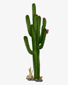 Saguaro Cactus Clipart Getdrawingsm For - Transparent Background Cactus Clipart Png, Png Download, Transparent PNG