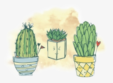 Cute As A Cactus 🌵 - Flowerpot, HD Png Download, Transparent PNG
