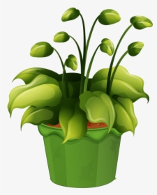 Комнатные Растения - Vaso De Planta Desenho Png, Transparent Png, Transparent PNG