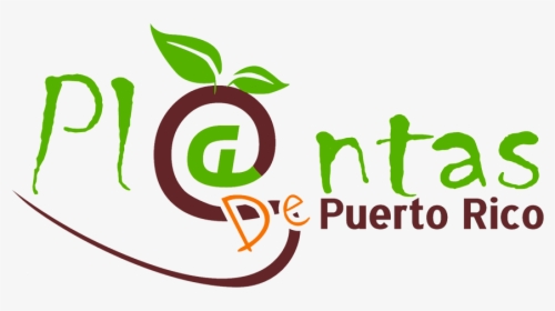 Plantas De Sol En Puerto Rico, HD Png Download, Transparent PNG