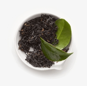 Transparent Tea Leaves Clipart - Fresh Black Tea Leaves, HD Png Download, Transparent PNG