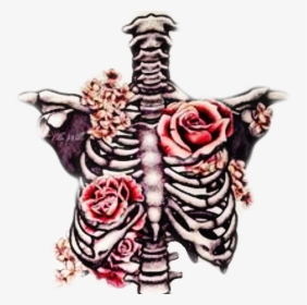 #freetoedit #ribcage #bones #roses #beautifuldeath - Skeleton And Roses Drawing, HD Png Download, Transparent PNG