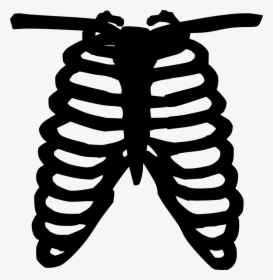 Chest Bone Clip Art Hd Png Download Transparent Png Image Pngitem - roblox skeleton ribs png