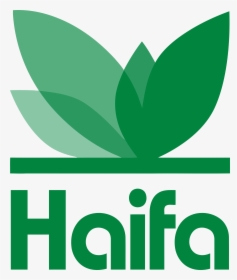 Haifa Group, HD Png Download, Transparent PNG