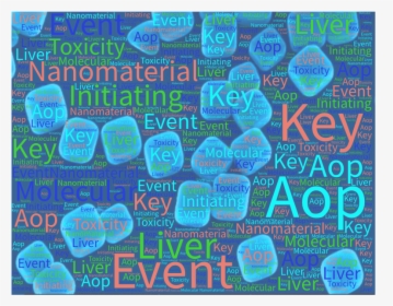Understanding Nanomaterial Toxicity By Leveraging Mechanistic - Poster, HD Png Download, Transparent PNG