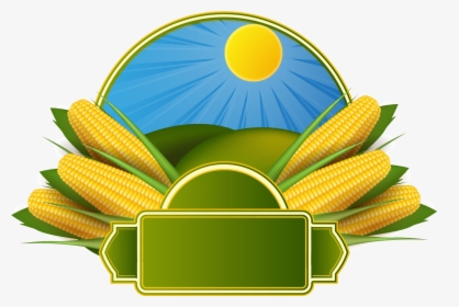 Corn On The Cob Maize Corncob Clip Art - Corn Background Design, HD Png Download, Transparent PNG