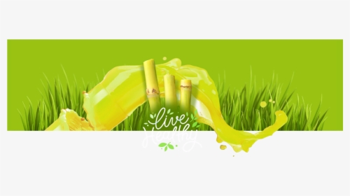 Transparent Sugarcane Png - Sugar Cane Juice Png, Png Download, Transparent PNG