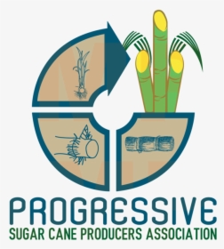 Progressive Sugar Cane Producers Association, HD Png Download, Transparent PNG