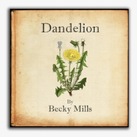 Becky Mills Dandelion, HD Png Download, Transparent PNG