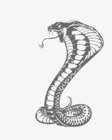 Cobras King Cobra Snakes Tattoo Snake Drawing Clipart - Khon Kaen United F.c., HD Png Download, Transparent PNG