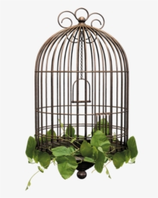 #birdcage #cage - Bird Cage Transparent Background, HD Png Download, Transparent PNG