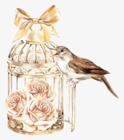 Classical Bird Cage Plant - Birdcage Anime Png, Transparent Png, Transparent PNG