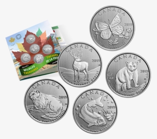 Canadian Wildlife Coin Series, HD Png Download, Transparent PNG