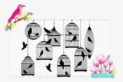 Bird Png Download - Silhouette Of A Bird Cage, Transparent Png, Transparent PNG