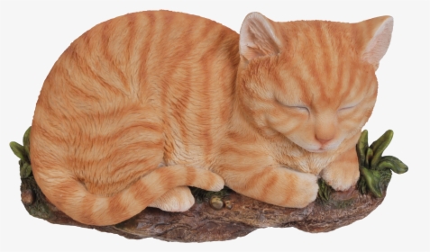 Rl Sleeping Cat Ginger B - Tabby Cat, HD Png Download, Transparent PNG