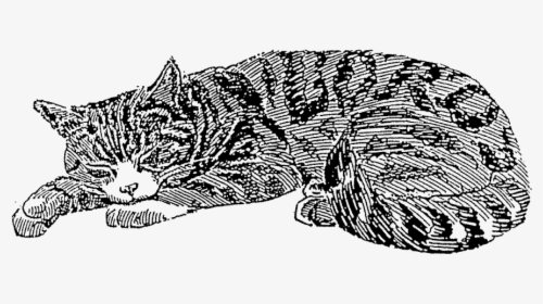 Sleeping Cat Rubber Stamp   Title Sleeping Cat Rubber - Sleeping Cat, HD Png Download, Transparent PNG