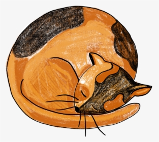 Sleeping Cat Procreate Sleeping Cat Creative Market - Illustration, HD Png Download, Transparent PNG