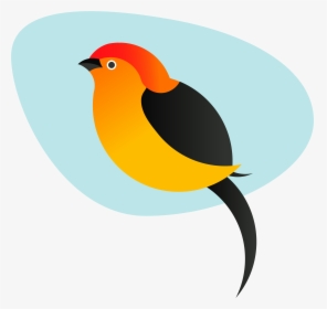Pipra Is A Boutique Indian Company On A Mission To - Robin, HD Png Download, Transparent PNG