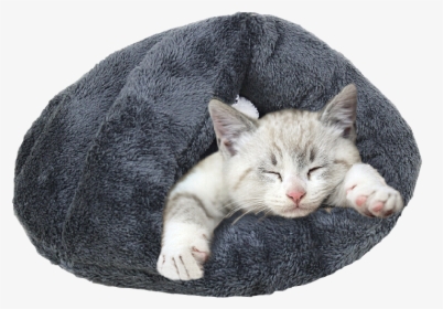 Deluxe Sleeping Toy Cave Bed For Cats Or Puppy - Cat Grabs Treat, HD Png Download, Transparent PNG