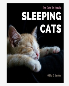 Sweet Cats Quotes, HD Png Download, Transparent PNG