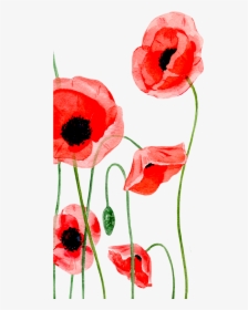 Poppy Clipart Single Poppy - Iphone, HD Png Download, Transparent PNG
