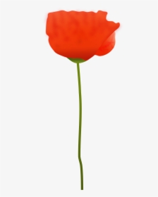 Clipart - Remembrance Single Clipart Poppy, HD Png Download, Transparent PNG