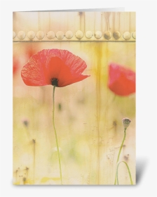 Red Poppies Greeting Card - Corn Poppy, HD Png Download, Transparent PNG