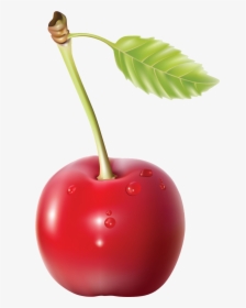 Cherry Blossom Cartoon Clipart Illustration Fruit Food - Transparent Background Cherry Png, Png Download, Transparent PNG