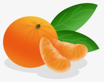 Cartoon Hand Drawn Fruit Food Png And Psd - Tangerine Cartoon, Transparent Png, Transparent PNG