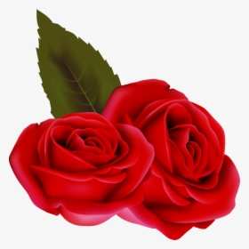 Bouqet De Roses Rosa Fleur Rouge Passion St Valentin - Rose Rouge Fond Transparent, HD Png Download, Transparent PNG