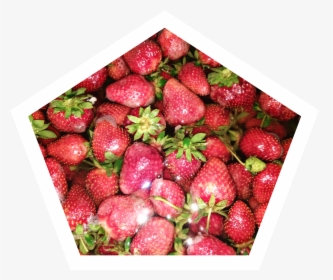 Fresa Sticker - Strawberry - Strawberry, HD Png Download, Transparent PNG