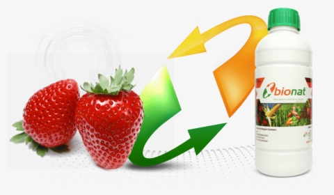 توت فرنگی به انگلیسی , Png Download - 2 Strawberries, Transparent Png, Transparent PNG