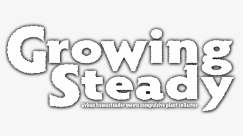 Growing Steady, HD Png Download, Transparent PNG