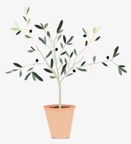 Transparent Olive Branch Png - Flowerpot, Png Download, Transparent PNG