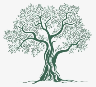 Olive Tree Logo Png , Png Download - Olive Tree Logo Png, Transparent Png, Transparent PNG