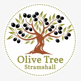 Olive Tree Stramshall - Olive Tree Logo, HD Png Download, Transparent PNG