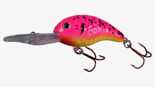 Pink Splatter - Fish Hook, HD Png Download, Transparent PNG