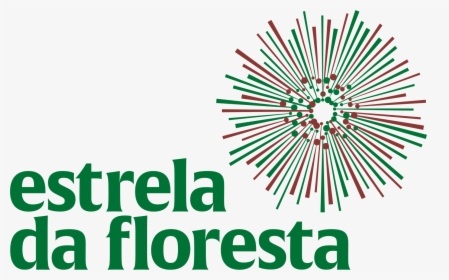 Estrela Da Floresta Angola, HD Png Download, Transparent PNG