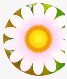 2d Flower Textures, HD Png Download, Transparent PNG