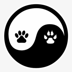 Tiendas De Mascotas, HD Png Download, Transparent PNG