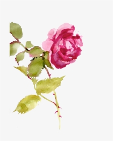 Http Jaehos Tumblr Com Post Texture Pack - Watercolor Flowers Tumblr Roses, HD Png Download, Transparent PNG