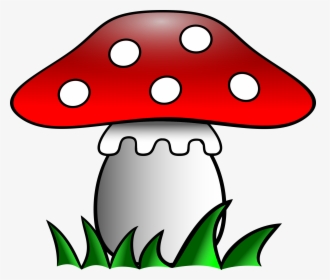 Transparent Fly Clipart Png - Fly Agaric Clipart, Png Download, Transparent PNG