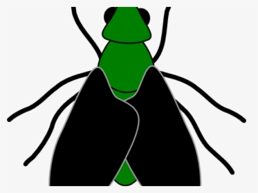 Fly Clipart Bug - Insect Clip Art, HD Png Download, Transparent PNG