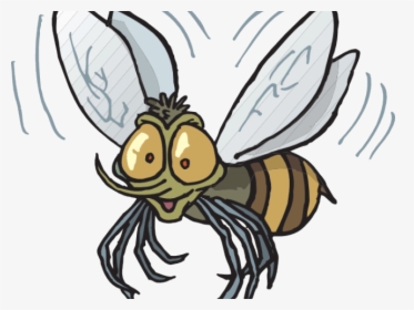 Fly Clipart Scared - Mexican Fruit Fly Cartoon, HD Png Download, Transparent PNG