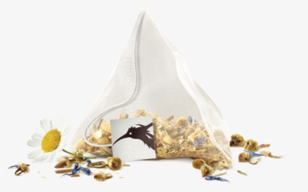 Camomile, HD Png Download, Transparent PNG