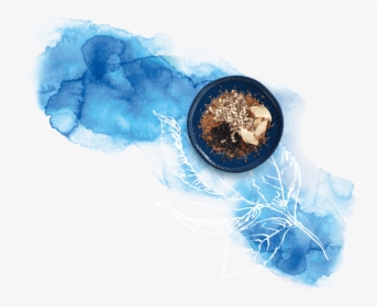 Globe, HD Png Download, Transparent PNG