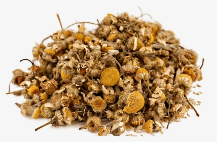 Organic Chamomile - Seed, HD Png Download, Transparent PNG