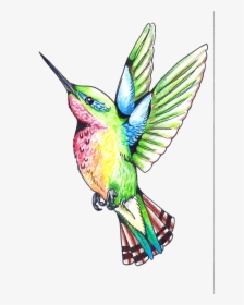 Hummingbird Tattoos Png Clipart - Humming Bird Clip Art, Transparent Png, Transparent PNG