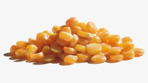 Wabash Valley Farms Popcorn - Corn Kernels, HD Png Download, Transparent PNG