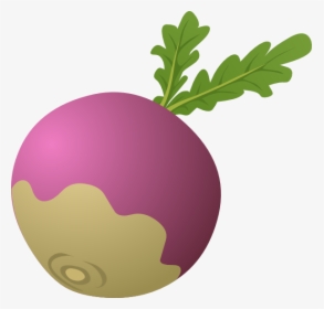 Turnip Clipart, HD Png Download, Transparent PNG